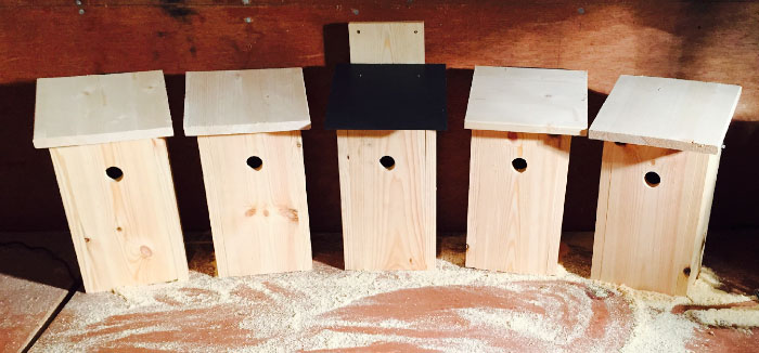 birdboxes
