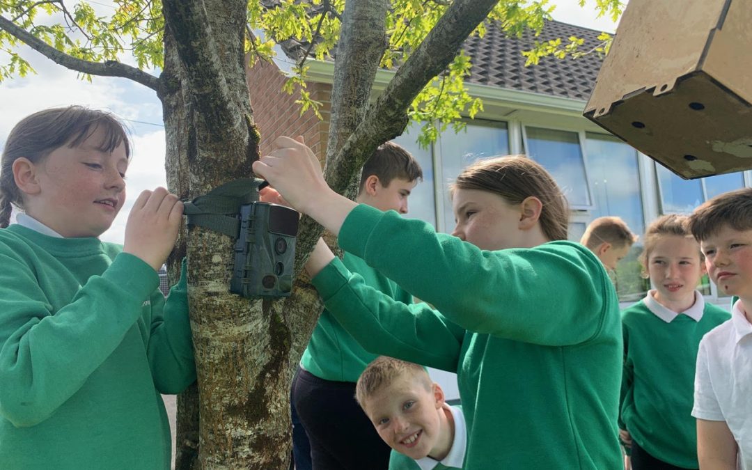 Pupils fitting a wildlife camera to a tree outdoors