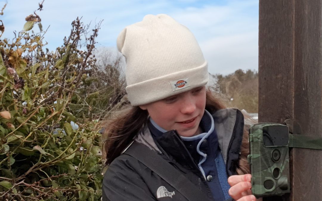 Young person fixing a wildlife camera to a post outdoors