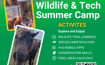 Big News! Our Summer Programme Just Got BIGGER!